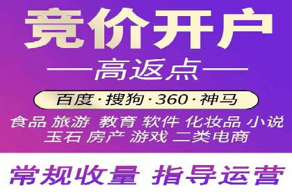 成功SEM托管代运营案例分析